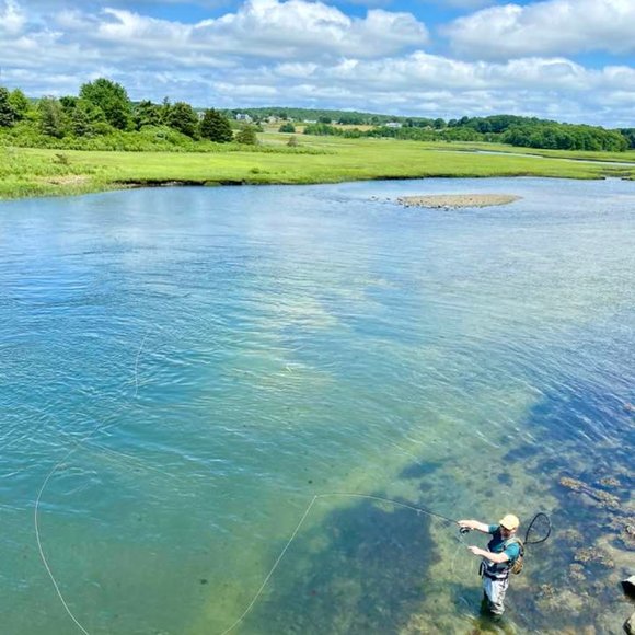 Meet your Posher, Jacqueline - Picture 6 of 12